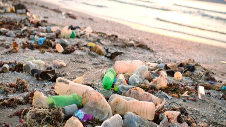 Dünyada en çok plastik kirliliği üreten ülkeler açıklandı: Türkiye kaçıncı sırada?