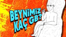 Karşılığı Öz İtimadınızı Artıracak: Beynimiz Kaç GB?