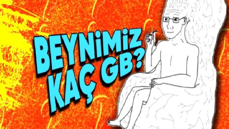 Karşılığı Öz İtimadınızı Artıracak: Beynimiz Kaç GB?
