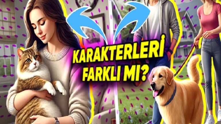 Kedi ve Köpek Sahiplerinin Karakteri Farklı mı?