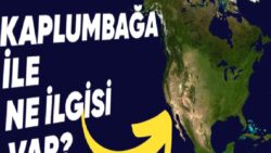 Kuzey Amerika Neden “Kaplumbağa Adası” Olarak Anılır? (Hayır, Formu Kaplumbağayı Anımsattığı İçin Değil!)