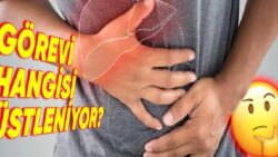 Safra Kesesi Sindirimde Bu Kadar Değerliyse Nasıl O Olmadan da Yaşayabiliyoruz?