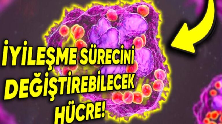 Yeni Bir Hücre Keşfedildi ( Varlığı 100 Yıldır Tahmin Ediliyormuş!)