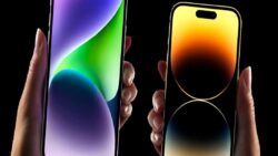 Yeniye geçiş: iPhone 14 Pro mu iPhone 16 Pro mu?