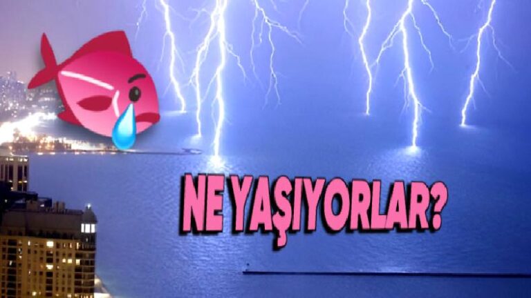 30 Bin Derece Sıcaklığa Kadar Çıkabilen Yıldırım Suya Düştüğünde Balıkların Başına Neler Geliyor?