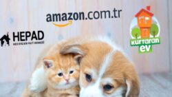 Amazon Türkiye’den Dünya Hayvanları Müdafaa Günü’nde Manalı Destek: Siz de Katılabilirsiniz