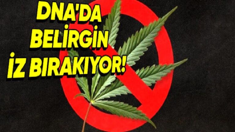 Esrar Kullanımının DNA’da Besbelli Bir İz Bıraktığı Keşfedildi