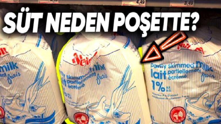 Kanada Marketlerinde Sütler Neden Kutularda Değil de Plastik Poşetlerde Satılıyor?