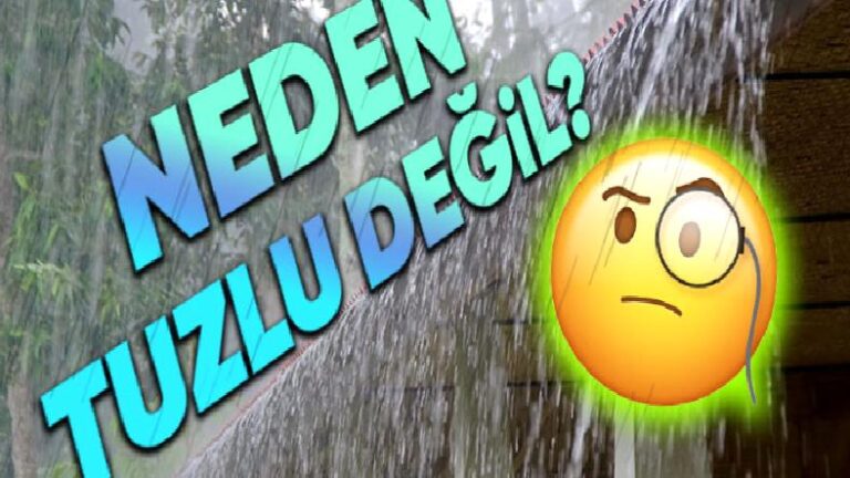 Kar ve Yağmur Suyu Okyanustan Gelmesine Karşın Neden Tuzlu Bir Tada Sahip Değil?