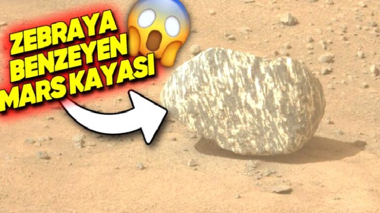 Mars’ta Zebrai Desenlere Sahip Gizemli Bir Kaya Keşfedildi