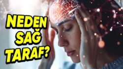 Migrenden Fazlası: Bilhassa Sağdan Sağdan Vuran Baş Ağrılarının Arkasında Hangi Sebepler Var?