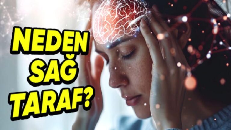 Migrenden Fazlası: Bilhassa Sağdan Sağdan Vuran Baş Ağrılarının Arkasında Hangi Sebepler Var?