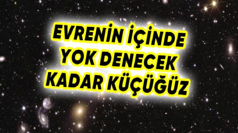 Öklid Uzay Teleskobundan Baş Döndüren Çalışma: Tam 208 Gigapiksel Boyutunda Uzay Atlası Oluşturuldu