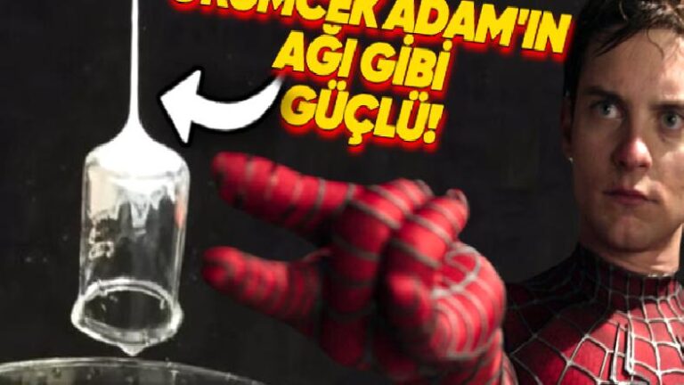 Örümcek Adam’ın Ağları Gerçek Oldu: Kendi Yükünün 80 Katını Kaldırabilen Yapışkan Sıvı Geliştirildi