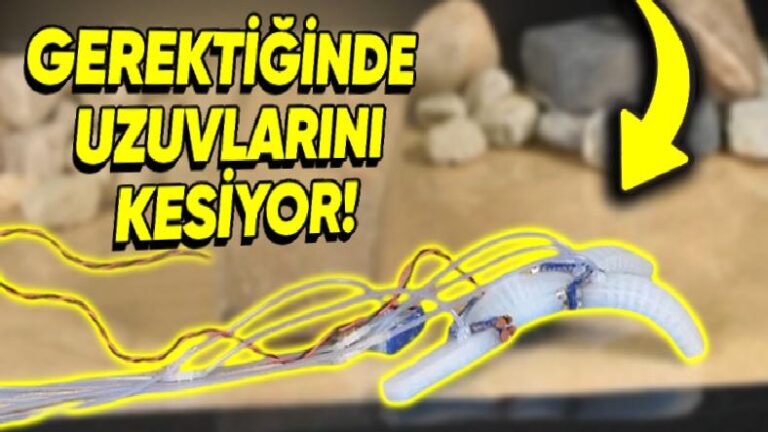 Zor Durumlarda Kendi Uzuvlarını Kesebilen Robot Üretildi (Geleceğin Kaçış Ustaları Olacaklar…)