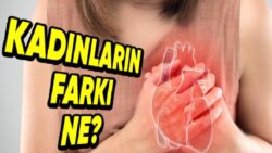 Bilime Göre Bayanların, Kalp Hastalıkları Sebebiyle Hayatını Kaybetme Riski Neden Erkeklere Göre Daha Fazladır?