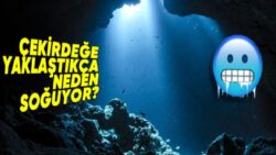 Bu İşte Bir Aykırılık Var: Okyanusların Tabanı, Dünyanın Çekirdeğine Yakın Olduğu Hâlde Neden Daha Soğuk?