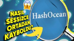 Büyük Karlar Vadeden HashOcean, Nasıl Sessizce Kayıplara Karışarak Birçok Kişinin Yatırımlarını Kaybetmesine Sebep Oldu?