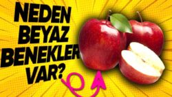 Elmaların Üstündeki Belli Meçhul Bu Küçük Noktalar Ne Manaya Geliyor?