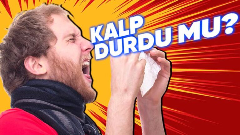 Hapşırmak Söylendiği gibi Nitekim de Kalbimizi “Bir Anlık” Durduruyor Olabilir mi?
