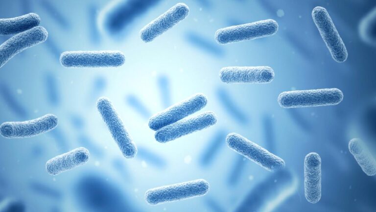 Hepimizin bedeninde takip edilmemizi sağlayan bâtın bir GPS varmış