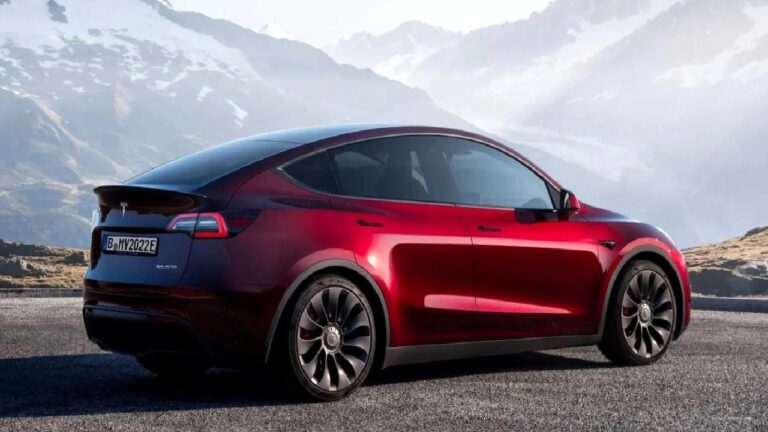 Otonom Tesla’nın yeni “marifeti”: Bu kere de geyiği biçip geçti