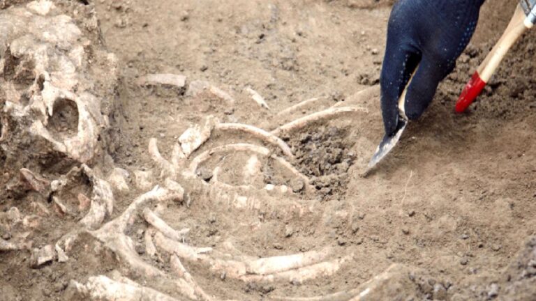 1.5 milyon yıllık ayak izlerinin ortaya çıkardığı değişik gerçek