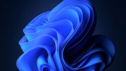 Bir ay daha bitti: İşte, Windows’ların Kasım ayı kullanım oranları