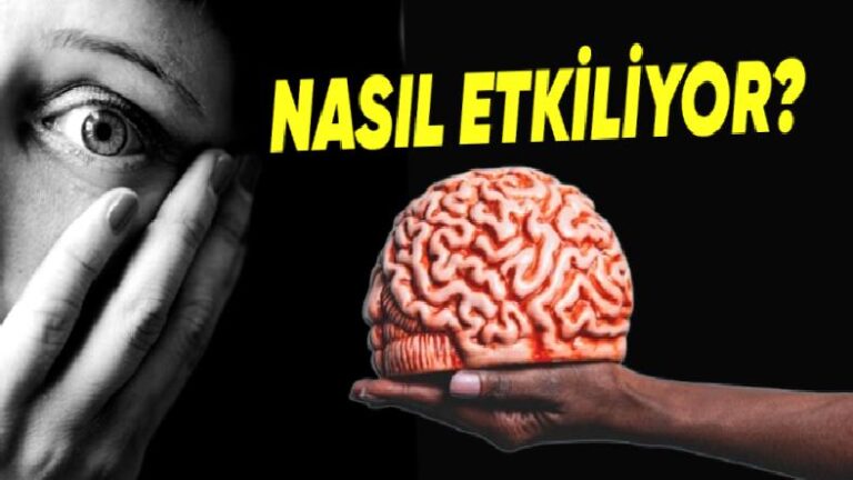 Dehşet Duygusu, İnsan Beynini ve Bedenini Nasıl Tesirler? (Okuduktan Sonra Kaygı Dolu Latifeler Yapmayı Bırakabilirsiniz)