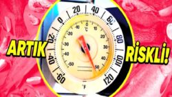 Deniz Ürünlerini Tüketirken Artık 1 Defa Daha Düşündürecek Çarpıcı Araştırma