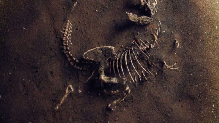 Dinozorlar nasıl yok oldu? Yaygın bir teori, büyük oranda çürütüldü!