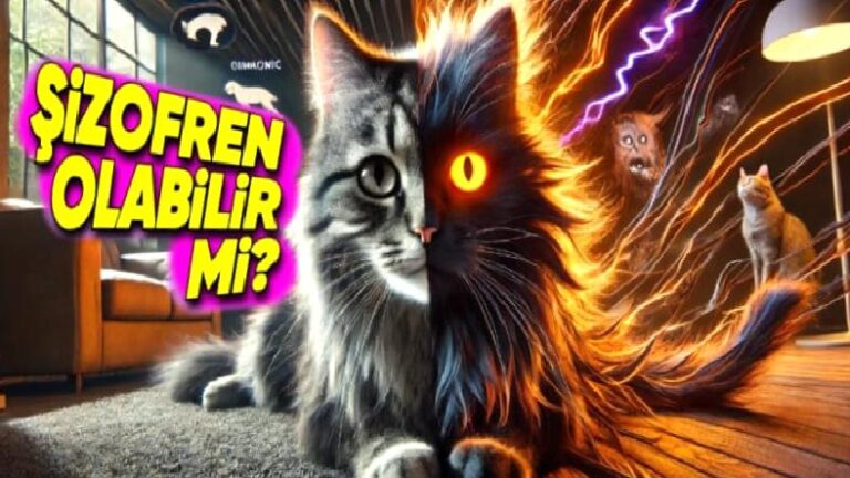 Hayvanlar da Tıpkı İnsanlardaki gibi Şizofreniye Sahip Olabilir mi?