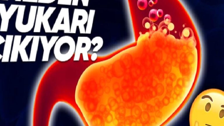 Mide Asidi Neden Yukarı Doğru Hareket Edip Zehir Bir Tat Almamıza Sebep Oluyor?