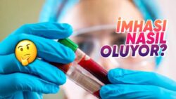 Test İçin Verdiğimiz Kanların İşi Bitince Ne Oluyor? Kimse Bu Seyahatin Sonunu Bilmiyor!
