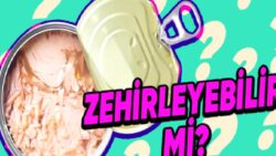 Tüketirken Bir Değil İki Defa Düşüneceksiniz: Ton Balıkları Neden Bu Kadar Yüksek Oranda Cıva İçerir?