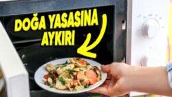 Yemeği Saniyeler İçinde Isıtan Mikrodalgalar Varken aynı Süratte Soğutan Aygıtlar Neden Yapılamıyor?