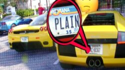 Amerikalıların Lüks Otomobilleri Bilhassa Montana Eyaletinden Almasının Nedeni Ne?