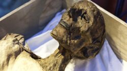 Binlerce yıllık mumyada “Kara Ölüm” keşfi