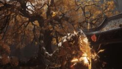 Black Myth: Wukong’un beklenen sürümü neden ertelendi?