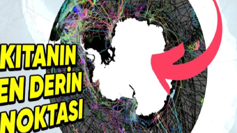 Deniz Canavarlarından Yer Altı Irmaklarına: Bilim İnsanlarını Şaşkına Çeviren Antarktika’daki 10 Sıra Dışı Keşif