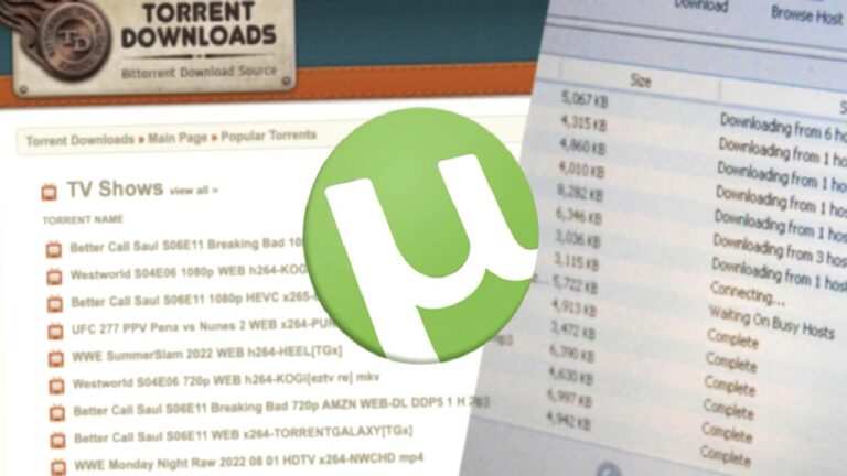 Dünyanın en büyük torrent sitesi maddi buhrana girdi!