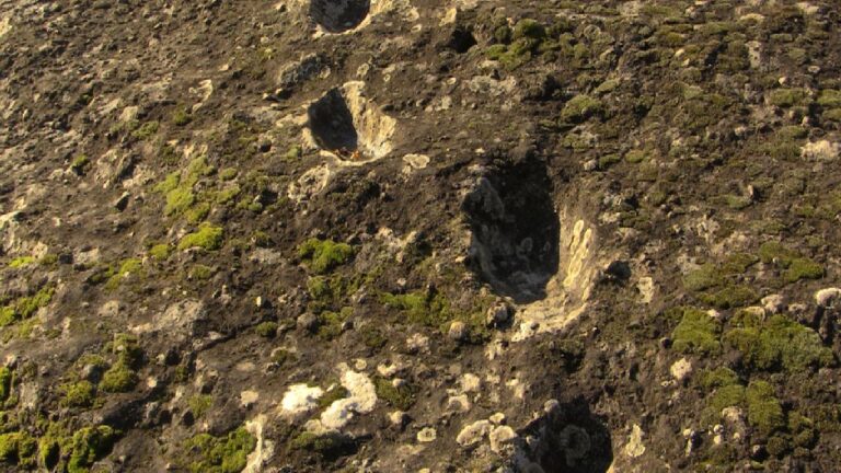 Volkanik kalıntı üzerinde 350.000 yıl önce oluşan “Şeytan İzleri” kimlere ait?