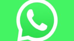 WhatsApp’ta kendi yapay zeka sohbet robotunuzu oluşturabileceksiniz