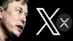 X’i aldığına bin pişman: Musk, çalışanlara ne dedi?