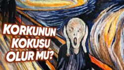 Farkında Olmadan Endişenin Kokusunu Alıyor Olabilir miyiz? Araştırmalar Bu Soruyu Yanıtlıyor!