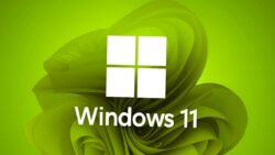 Microsoft’tan yeni Windows 11 uygulaması! Data taşıyacak