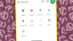 WhatsApp Gruplarının En Kullanışlı Özelliklerinden Biri Ferdi Sohbetlere de Geliyor