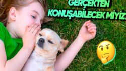 Yakında Hayvanlarla Konuşmamız Mümkün mü? Yapay Zekâ Bunu da Çözebilir!