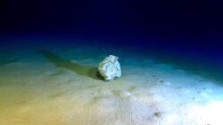 Akdeniz’deki “derin tehlike”: Dünyanın en derin çöplüğüne dönüşüyor