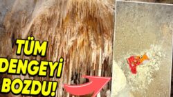 Bir Cips Paketinin Ekosistemi Nasıl Altüst Ettiğini Öğrenince Çöplerinizi Tabiata Bırakırken 2 Defa Düşüneceksiniz!